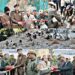 Doda: Plantation Drive “Ek Ped Maa Ke Naam” conducted along National Highway