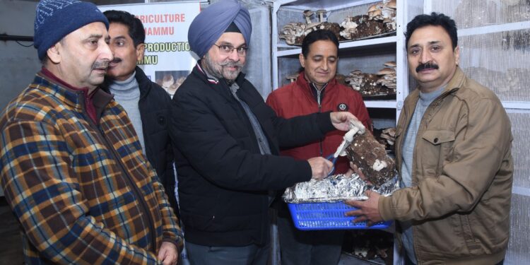 Director Agriculture Jammu inaugurates first harvest of Shiitake Mushrooms