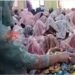 Mass Marriage Ceremony for 50 Orphan Girls Held in Srinagar