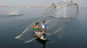 ‘Illegal’ fishing nets threaten Dal Lake’s biodiversity, migratory birds at risk