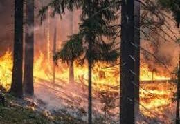 NDMA issues ‘very high forest fire risk’ alert for J&K