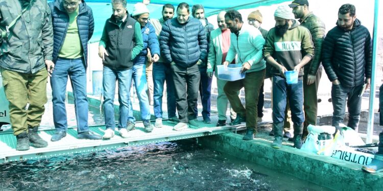 Fisheries sector possesses vast potential for employment, economy generation in JK: Javed Dar