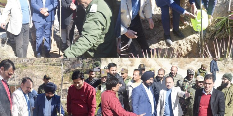 Plantation drive conducted on Doda-Ghat Road