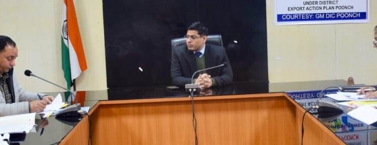 DC reviews implementation of JKREGP, other Self-Employment Schemes in Poonch