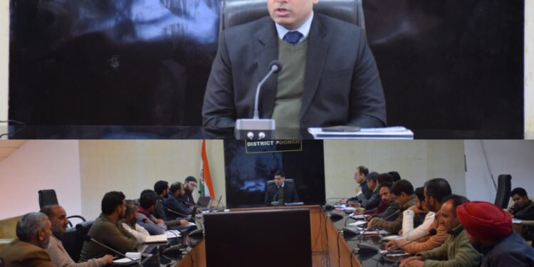 DC reviews progress of power infrastructure development projects in Poonch