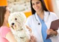 Deworming, vaccination, proper hygiene key to risk-free pet-human bond: Expert
