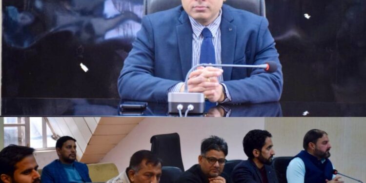 DC reviews implementation of District Environment Plan in Poonch