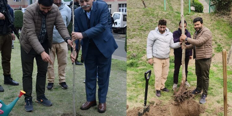 DC Bandipora launches Chinar Plantation Drive at Mini Secretariat