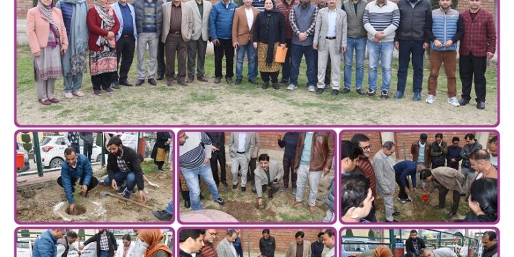 GMC Srinagar organizes Plantation Drive