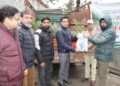 Forest Department launches sale of conifer plants