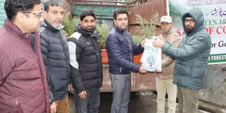 Forest Department launches sale of conifer plants
