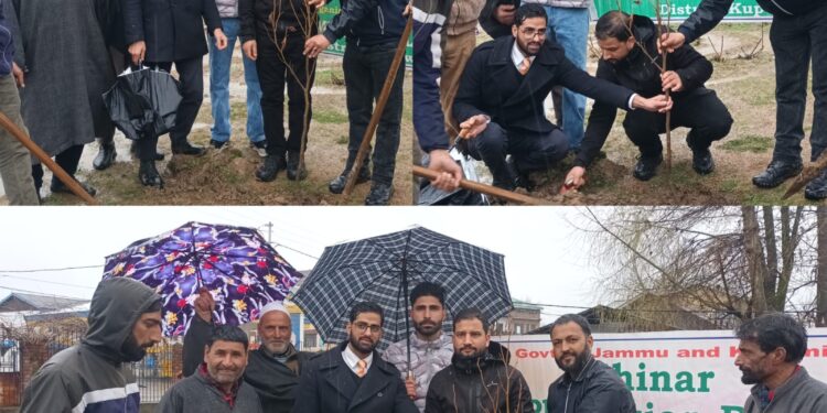Chinar Day: Plantation drive held at Children Park Handwara