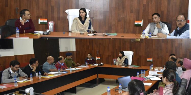 DC Reasi chairs DLCC meeting on NTPC programme