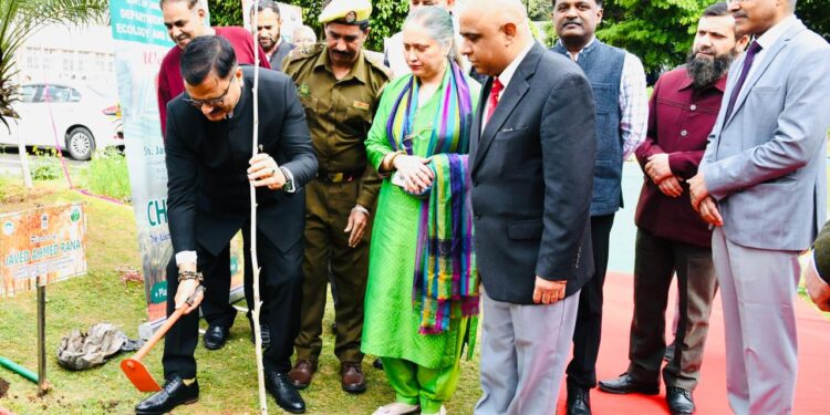 Chinar Day Celebrations