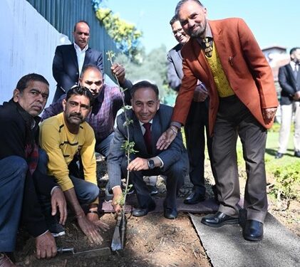 Plantation drive carried out at official residence of Chief Justice