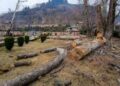 Forests cover 47.52% of land in Doda, 1.88% in Srinagar