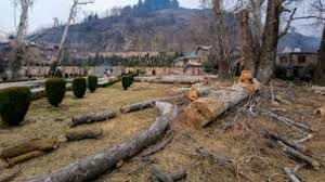 Forests cover 47.52% of land in Doda, 1.88% in Srinagar