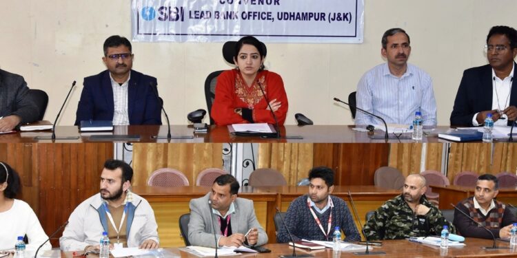 DC Udhampur reviews performance of banks at DLRC & DCC meeting