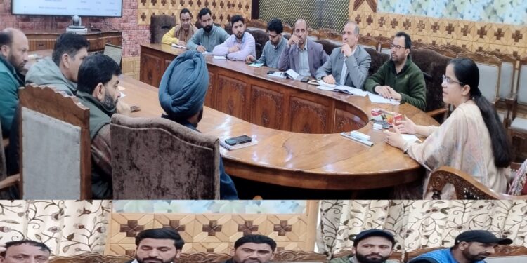 DC Kupwara reviews progress under PM Surya Ghar- Muft Bijli Yojana