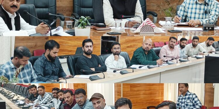DC reviews Solar electrification, Power Infrastructure development in District Doda