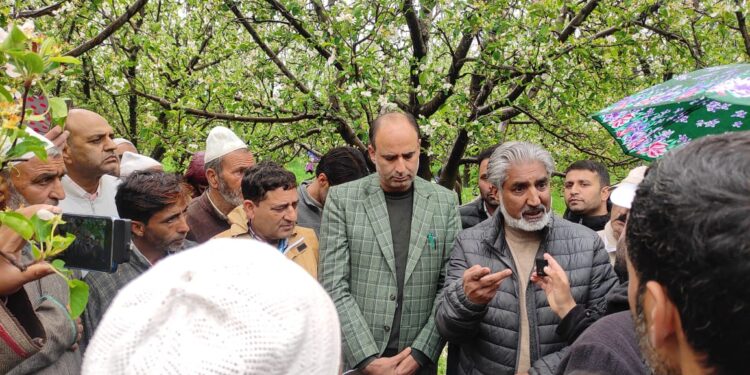 MLA Shopian visits hail-affected areas