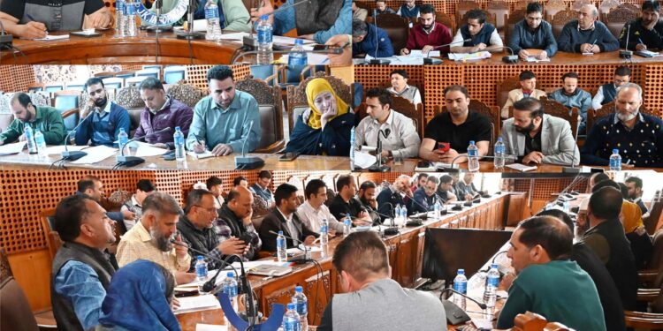 DDC Chairperson Shopian convenes meeting to discuss Annual Action Plan