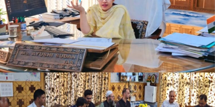 DC Kupwara reviews progress of PM Surya Ghar – Muft Bijli Yojana