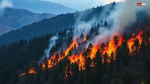 Forest fire rips through South Kashmir, 20 incidents reported in one week