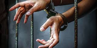 600 litres of illicit kerosene seized in Kulgam: Police