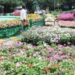 Floriculture Deptt. Kashmir launches Capacity Building Program for Growers