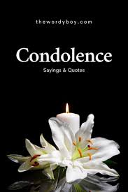 Transport Department expressed condolences on tragic demise of Falak Sayed