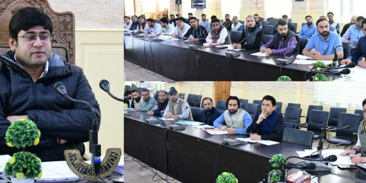 DC Ganderbal reviews functioning of Revenue Department