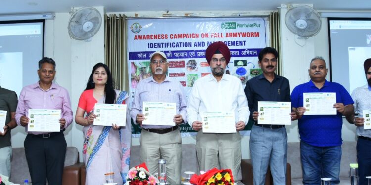 Agriculture Department Jammu, CABI launch Awareness Campaign on Fall Armyworm Management