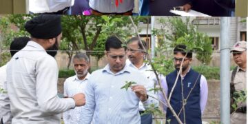DDC inspects key developmental projects in Poonch