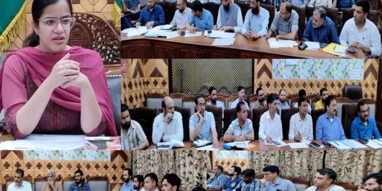 DDC Kupwara reviews implementation of Dharti Aaba Abhiyan