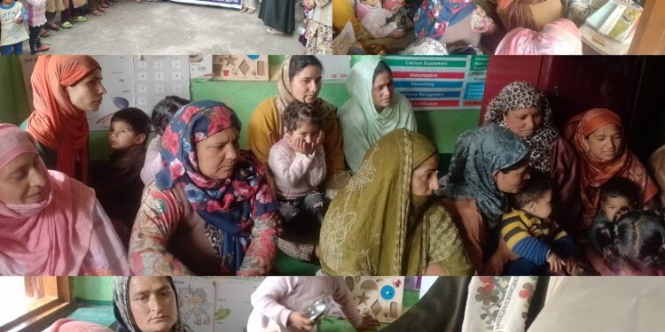 SHEW, Mission Shakti Shopian conducts awareness programme at Keller