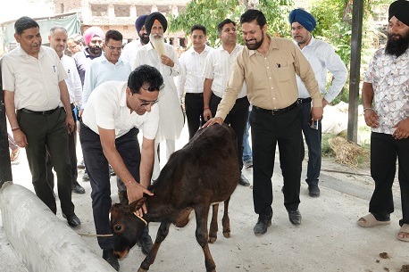 Mission Director HADP visits various dairy projects in Marh block