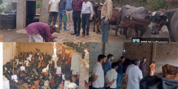 Reasi leads livestock growth with focus on grassroots impact