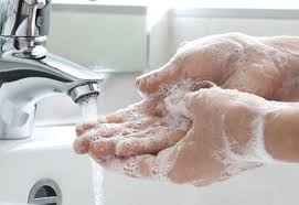 Clean hands crucial for disease prevention: Doctors