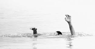 Boy jumps in Jhelum from Srinagar’s Zaina Kadal bridge, rescue ops launched