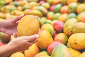 D&FCO issues Advisory for FBOs, Consumers on Artificial Fruit Ripening