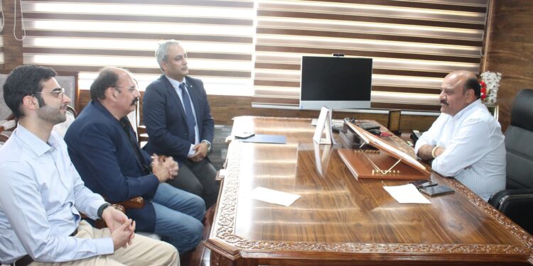 CII delegation calls on Dy CM