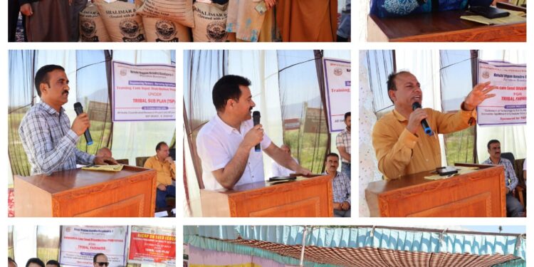 KVK Bandipora-1 organizes Training & Seed Distribution programme under Tribal Sub Plan