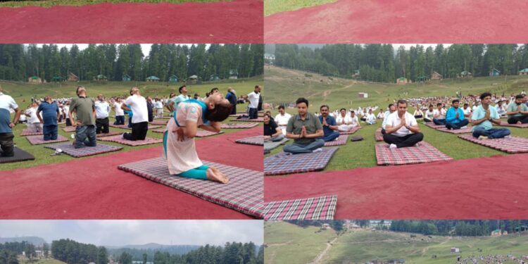 Embracing Wellness in the Lap of Nature