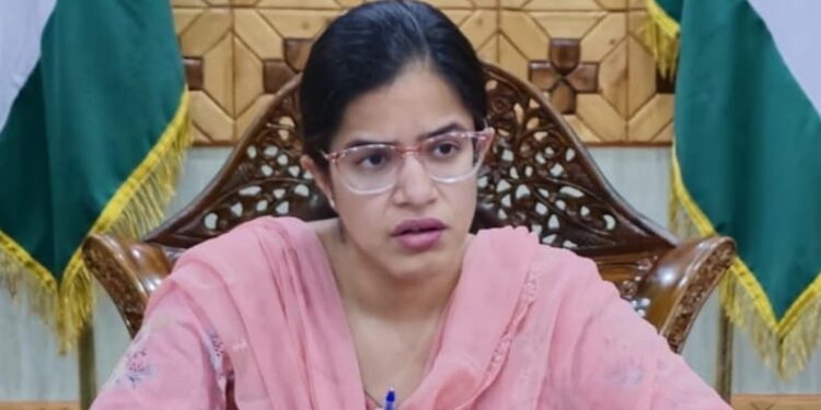 DC Kupwara reviews progress under PM Surya Ghar- Muft Bijli Yojana