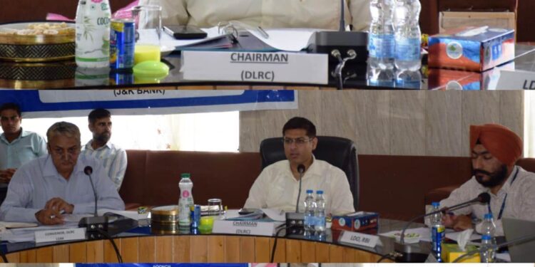 DDC Poonch reviews performance of Banks
