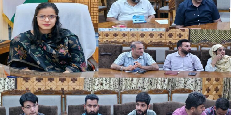 DLIC Kupwara approves 26 cases under Mission YUVA