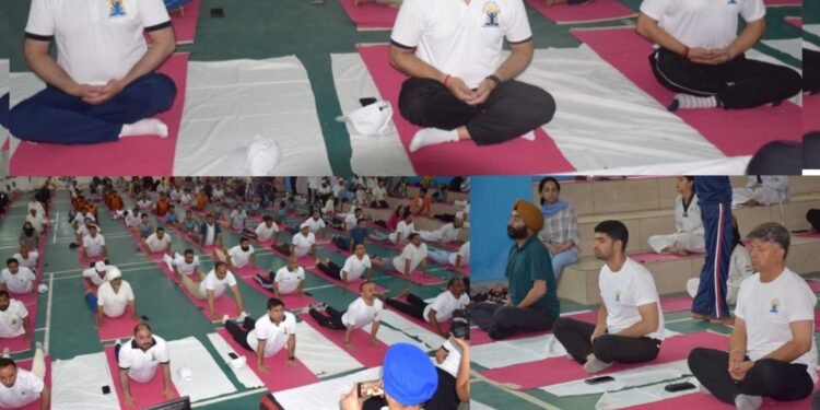 11th International Day of Yoga celebrated with enthusiasm in District Poonch