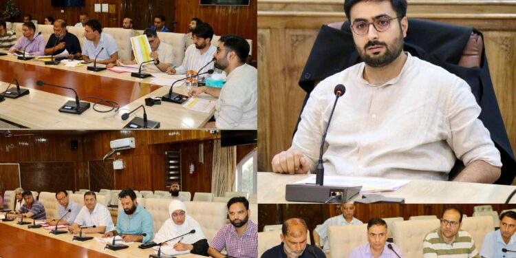 DC Srinagar reviews progress on heritage conservation projects in the District