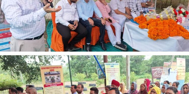 MLA Marh inaugurates Dragon Fruit Mother Block at Fruit Plant Nursery Raipur